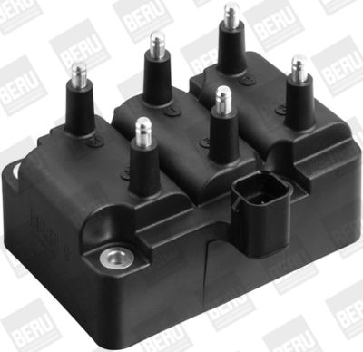 Ignition Coil BorgWarner (BERU) ZS404