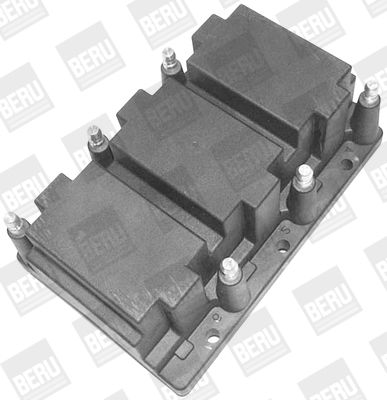 Ignition Coil BorgWarner (BERU) ZS416