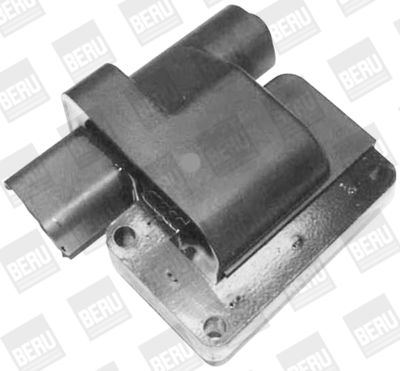 Ignition Coil BorgWarner (BERU) ZS419
