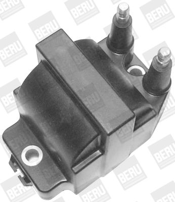 BorgWarner (BERU) ZS421 Ignition Coil