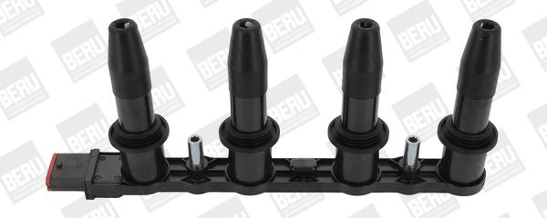 BorgWarner (BERU) ZS427 Ignition Coil