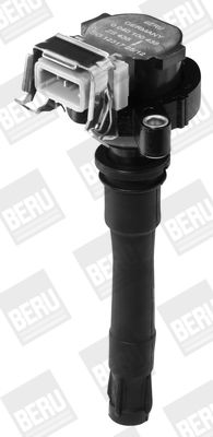 Ignition Coil BorgWarner (BERU) ZS435