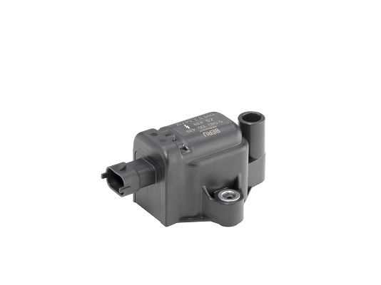 BorgWarner (BERU) ZS439 Ignition Coil