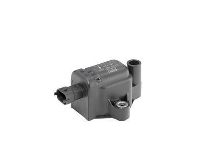 Ignition Coil BorgWarner (BERU) ZS439