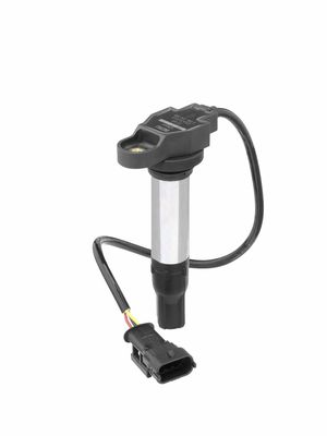 Ignition Coil BorgWarner (BERU) ZS441