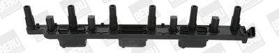 Ignition Coil BorgWarner (BERU) ZS452