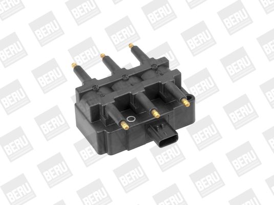 BorgWarner (BERU) ZS455 Ignition Coil