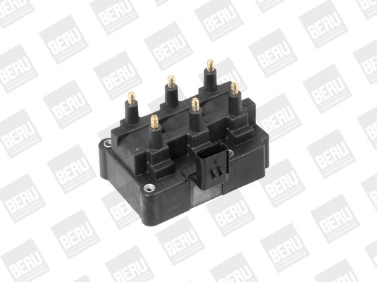 BorgWarner (BERU) ZS470 Ignition Coil