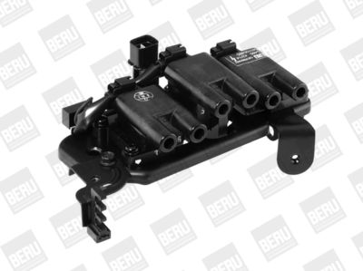 Ignition Coil BorgWarner (BERU) ZS485