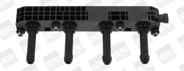 BorgWarner (BERU) ZS508 Ignition Coil