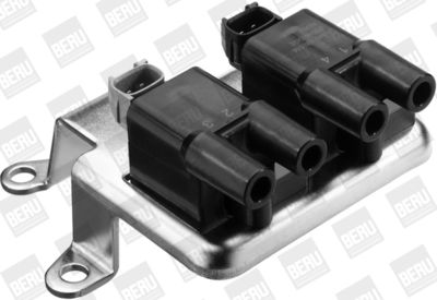 Ignition Coil BorgWarner (BERU) ZS516