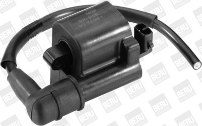 Ignition Coil BorgWarner (BERU) ZS519