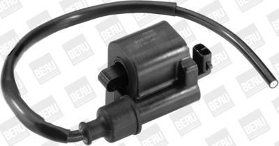 Ignition Coil BorgWarner (BERU) ZS520