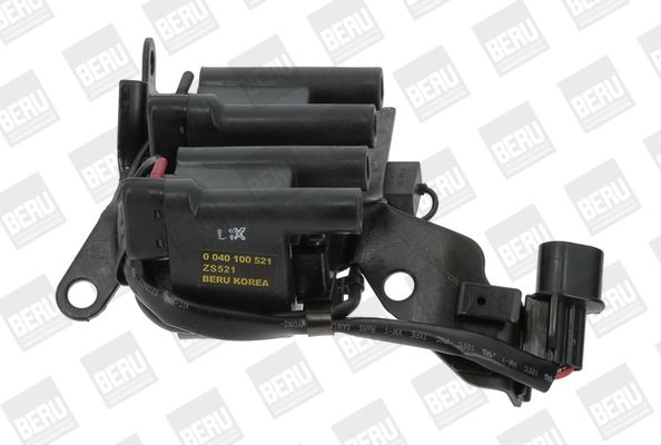BorgWarner (BERU) ZS521 Ignition Coil