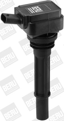 Ignition Coil BorgWarner (BERU) ZS537