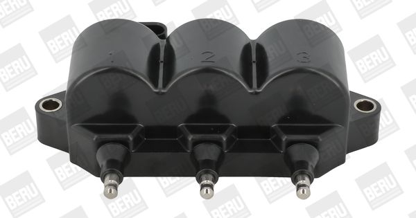 BorgWarner (BERU) ZS539 Ignition Coil