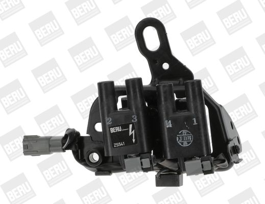 BorgWarner (BERU) ZS541 Ignition Coil