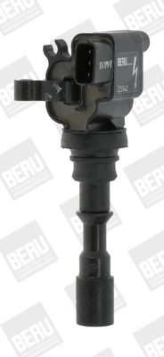 BorgWarner (BERU) ZS542 Ignition Coil