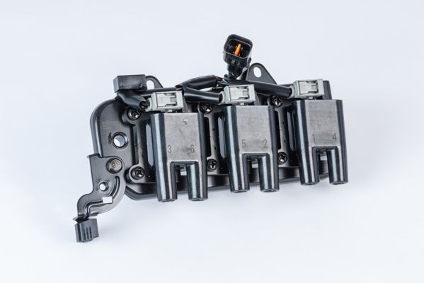 BorgWarner (BERU) ZS555 Ignition Coil