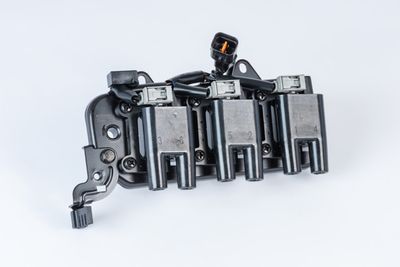Ignition Coil BorgWarner (BERU) ZS555