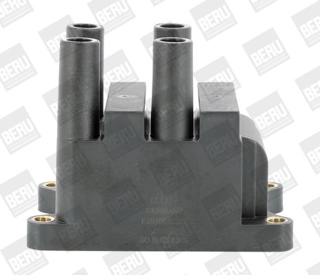 BorgWarner (BERU) ZS556 Ignition Coil