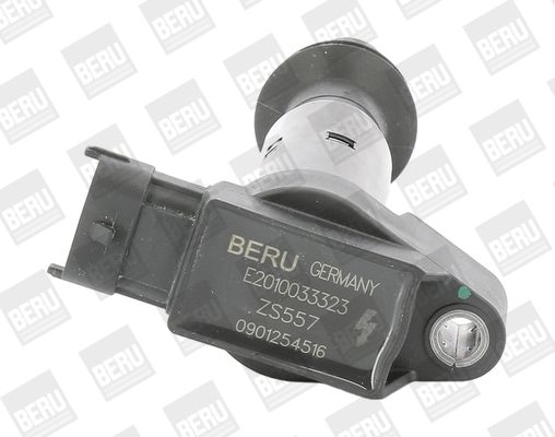 BorgWarner (BERU) ZS557 Ignition Coil