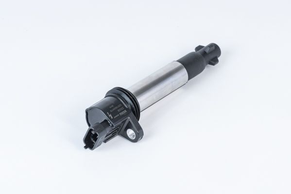 BorgWarner (BERU) ZS558 Ignition Coil