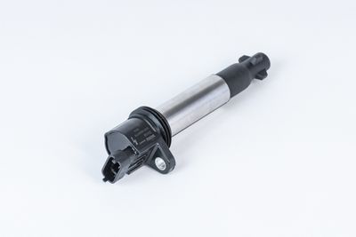 Ignition Coil BorgWarner (BERU) ZS558