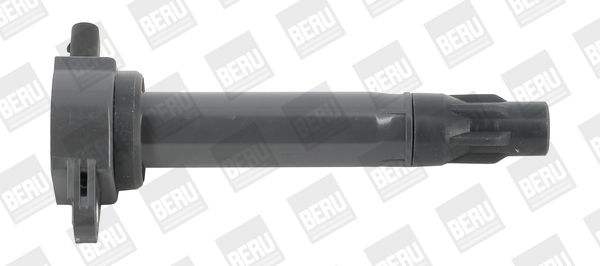 BorgWarner (BERU) ZS562 Ignition Coil