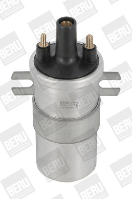 Ignition Coil BorgWarner (BERU) ZS565