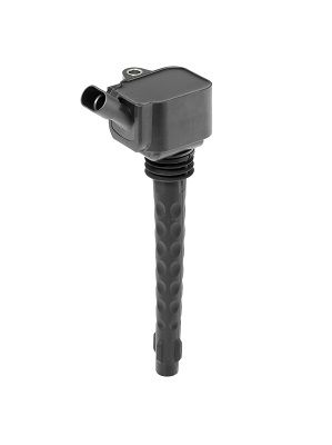 Ignition Coil BorgWarner (BERU) ZS573