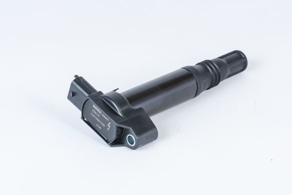 BorgWarner (BERU) ZS574 Ignition Coil