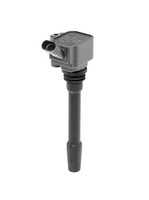 BorgWarner (BERU) ZS587 Ignition Coil
