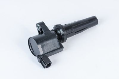 Ignition Coil BorgWarner (BERU) ZS592
