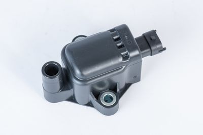 Ignition Coil BorgWarner (BERU) ZS593