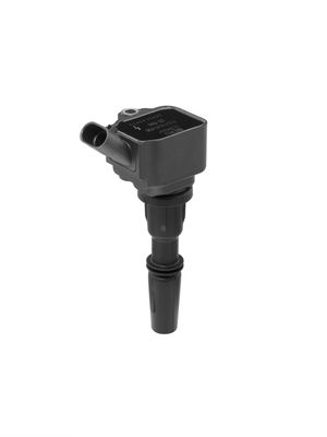 Ignition Coil BorgWarner (BERU) ZS596