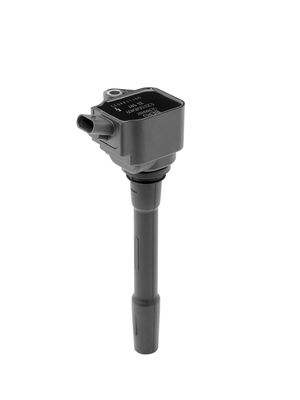 Ignition Coil BorgWarner (BERU) ZS597