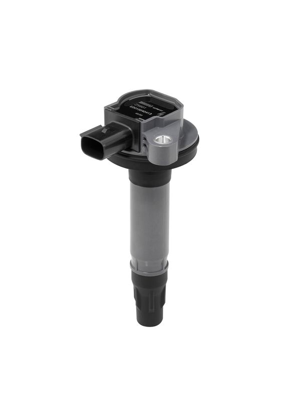 BorgWarner (BERU) ZS601 Ignition Coil