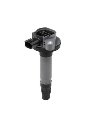 Ignition Coil BorgWarner (BERU) ZS601