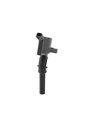 Ignition Coil BorgWarner (BERU) ZS602