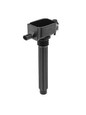 Ignition Coil BorgWarner (BERU) ZS604