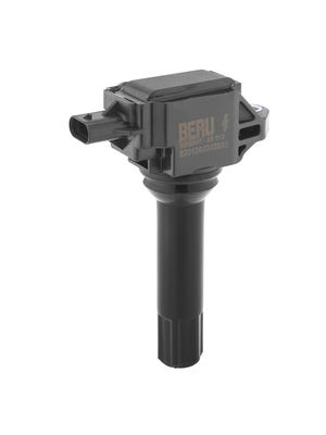 Ignition Coil BorgWarner (BERU) ZS613