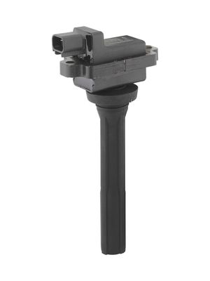 Ignition Coil BorgWarner (BERU) ZS615