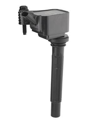 Ignition Coil BorgWarner (BERU) ZS617