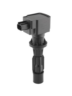 Ignition Coil BorgWarner (BERU) ZS618
