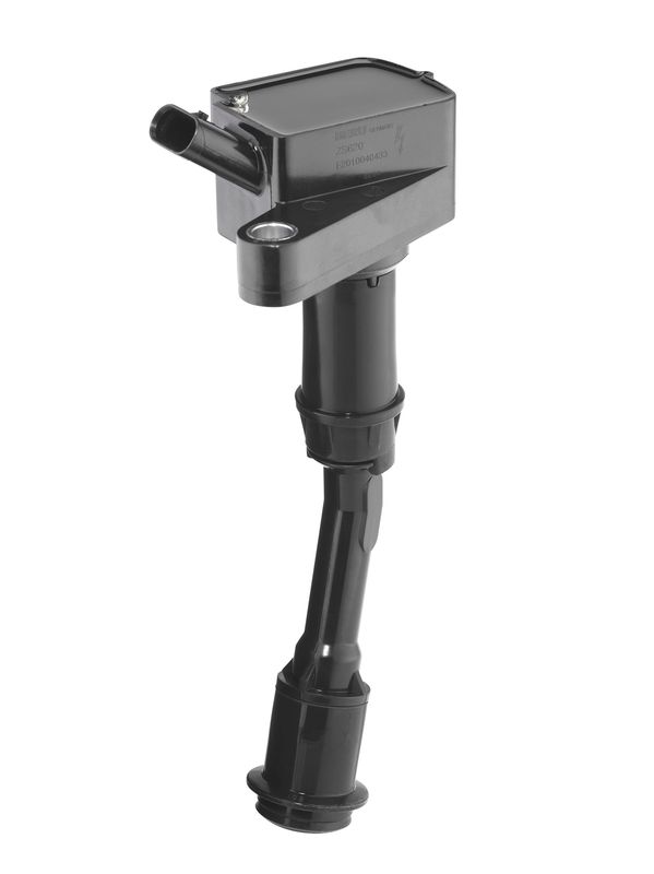 BorgWarner (BERU) ZS620 Ignition Coil