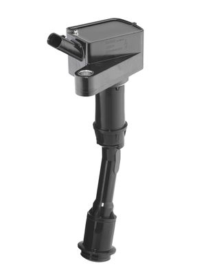 Ignition Coil BorgWarner (BERU) ZS620