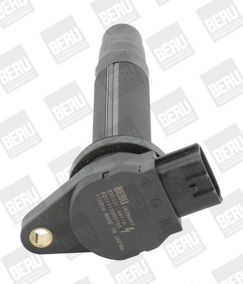 BorgWarner (BERU) ZSE021 Ignition Coil