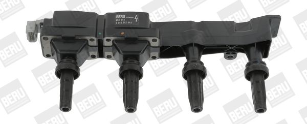 BorgWarner (BERU) ZSE046 Ignition Coil