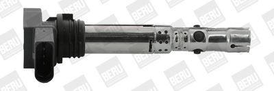 Ignition Coil BorgWarner (BERU) ZSE059